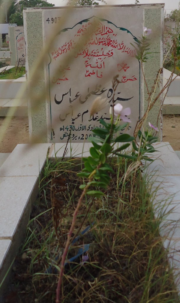 4903 – Syeda Azma Abbas